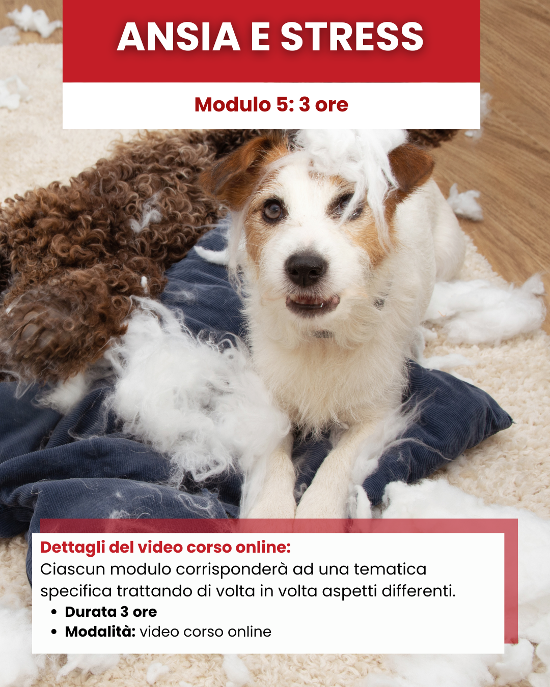 Mod 5 - Ansia e stress