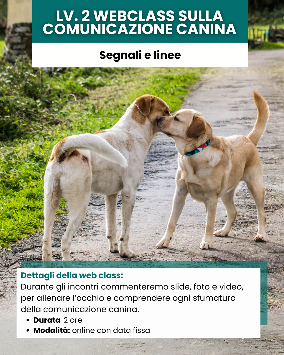 Lv. 2 Webclass sulla comunicazione canina: segnali e linee