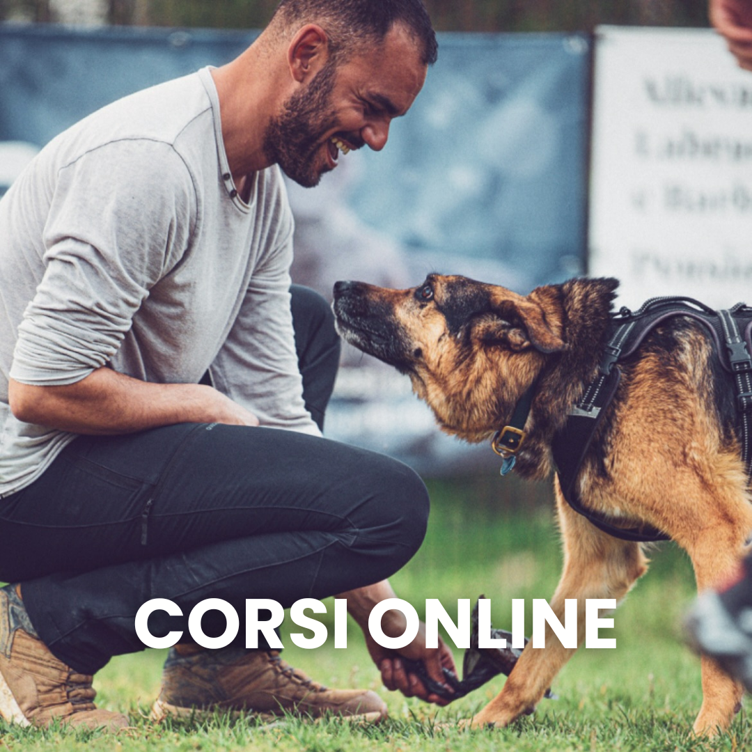 Corsi cinofili online