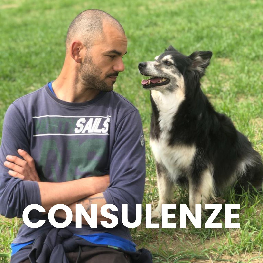 Consulenze Cinofile