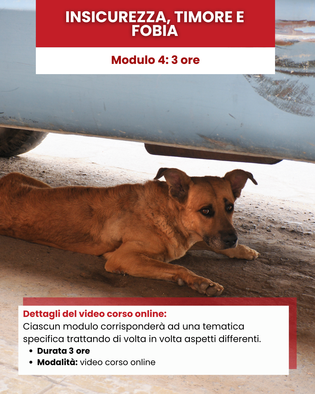 Mod 4 -Insicurezza, timore e fobia