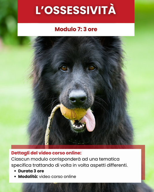 Mod 7 - L'ossessività