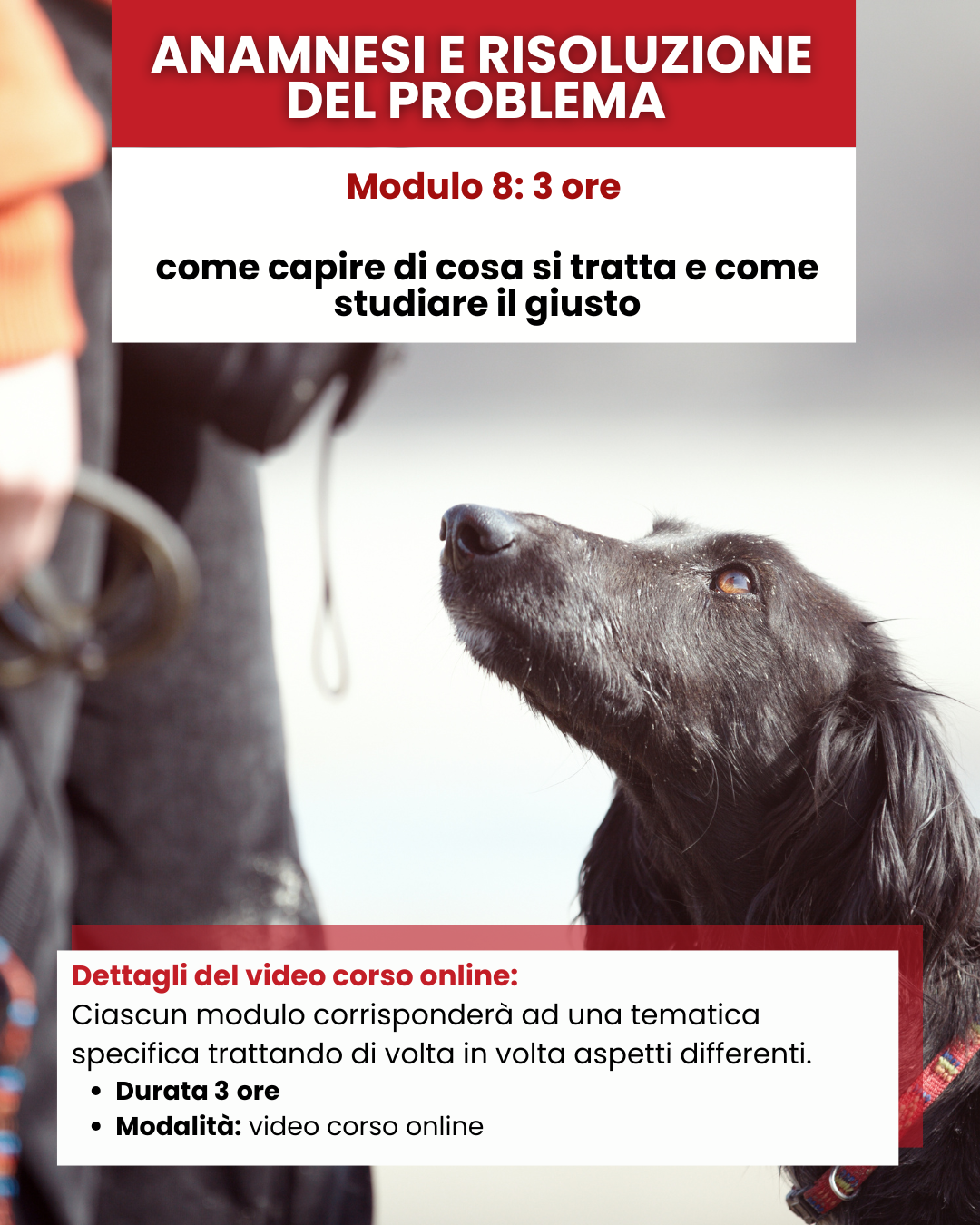 Mod 8 - ANAMNESI E RISOLUZIONE DEL PROBLEMA: come capire di cosa si tratta e come studiare il giusto