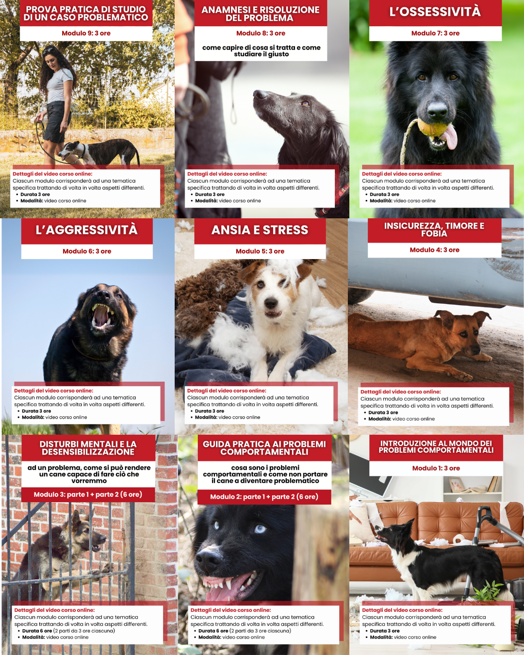 Guida pratica ai “PROBLEMI COMPORTAMENTALI” - Tutti i moduli