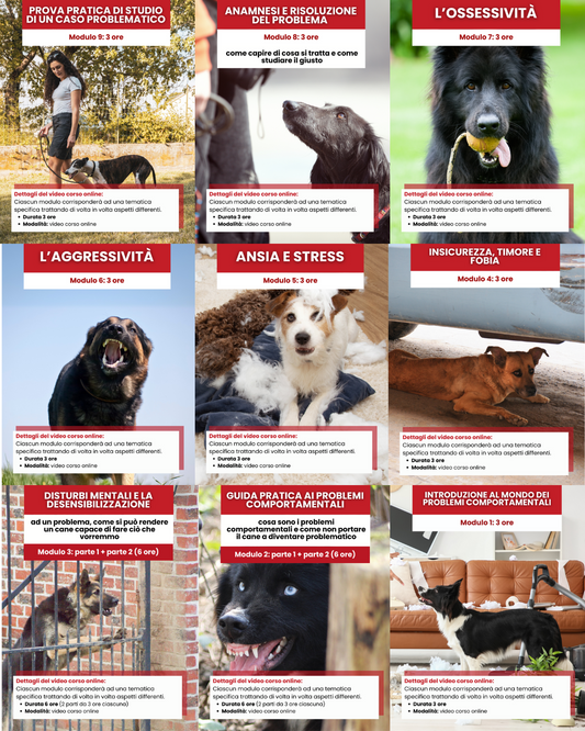 Guida pratica ai “PROBLEMI COMPORTAMENTALI” - Tutti i moduli