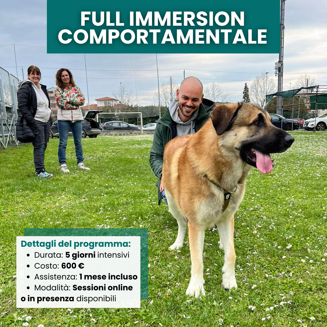 Full Immersion comportamentale canina