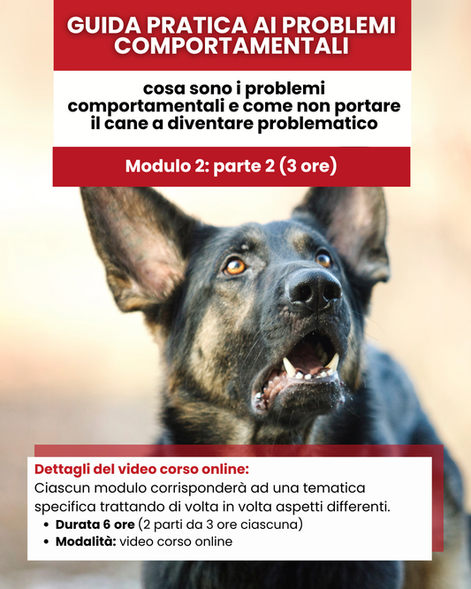 Mod 2 - Part 1 Guida Pratica ai Problemi Comportamentali del cane  Cosa sono i problemi comportamentali e come non portare il cane a diventare problematico
