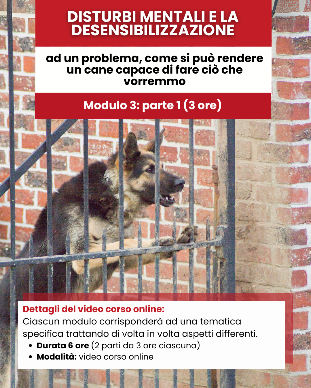 Mod 3 - Part 1 Disturbi mentali e desensibilizzazione ad un problema, come si può rendere un cane capace di fare ciò che vorremmo