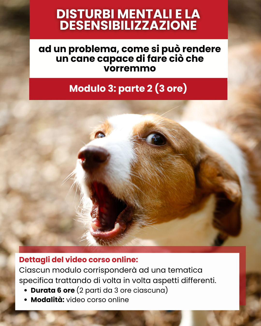 Mod 3 - Part 1 Disturbi mentali e desensibilizzazione ad un problema, come si può rendere un cane capace di fare ciò che vorremmo