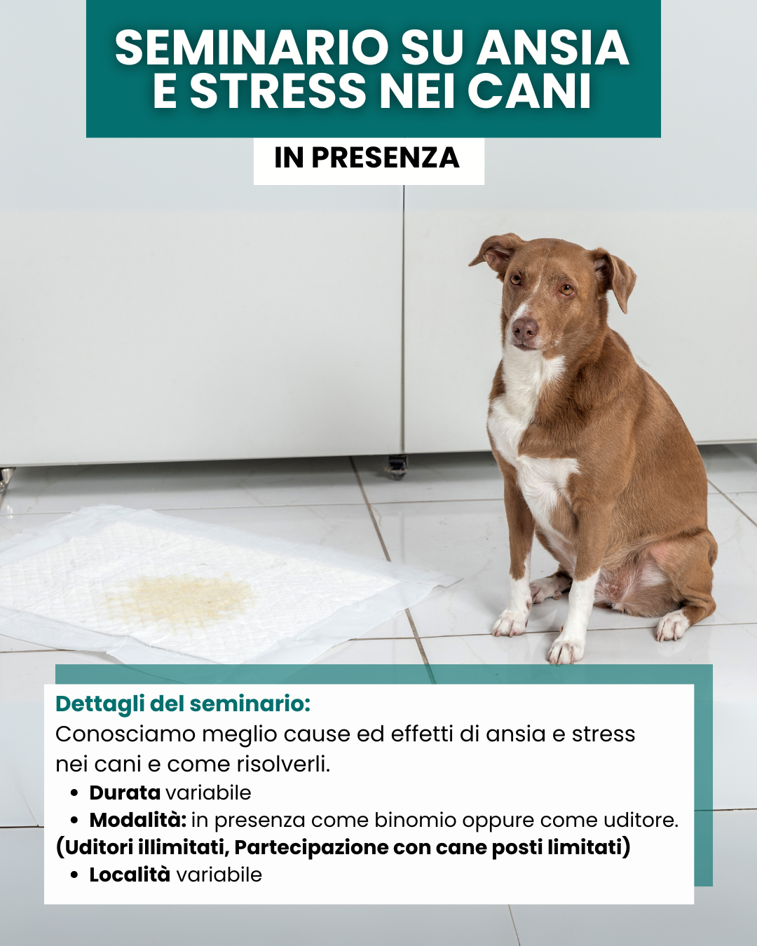 Seminario su ansia e stress nei cani