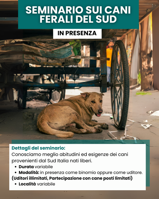 Seminario sui cani ferali del sud